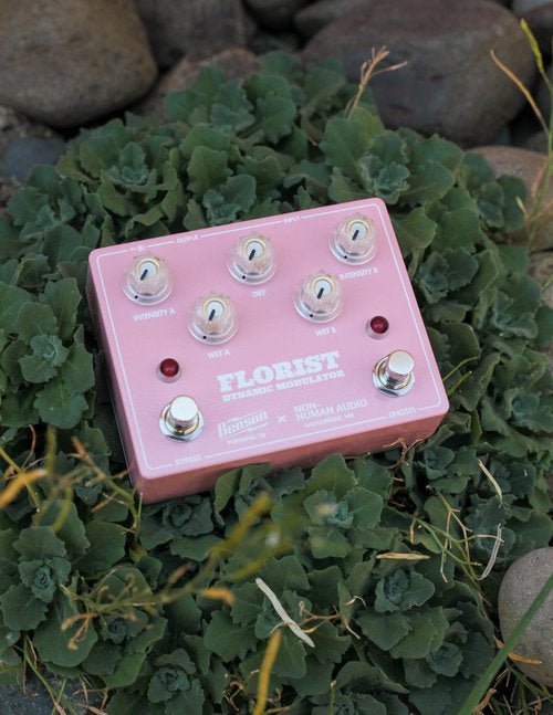 Benson Amps Florist *Free Shipping in the USA* Empire Guitars