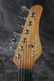 2020 Schecter Nick Johnson HSS Traditional
