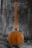 Deering B6 6-String Banjo