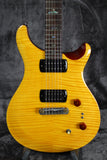 Paul Reed Smith PRS SE Paul's Guitar