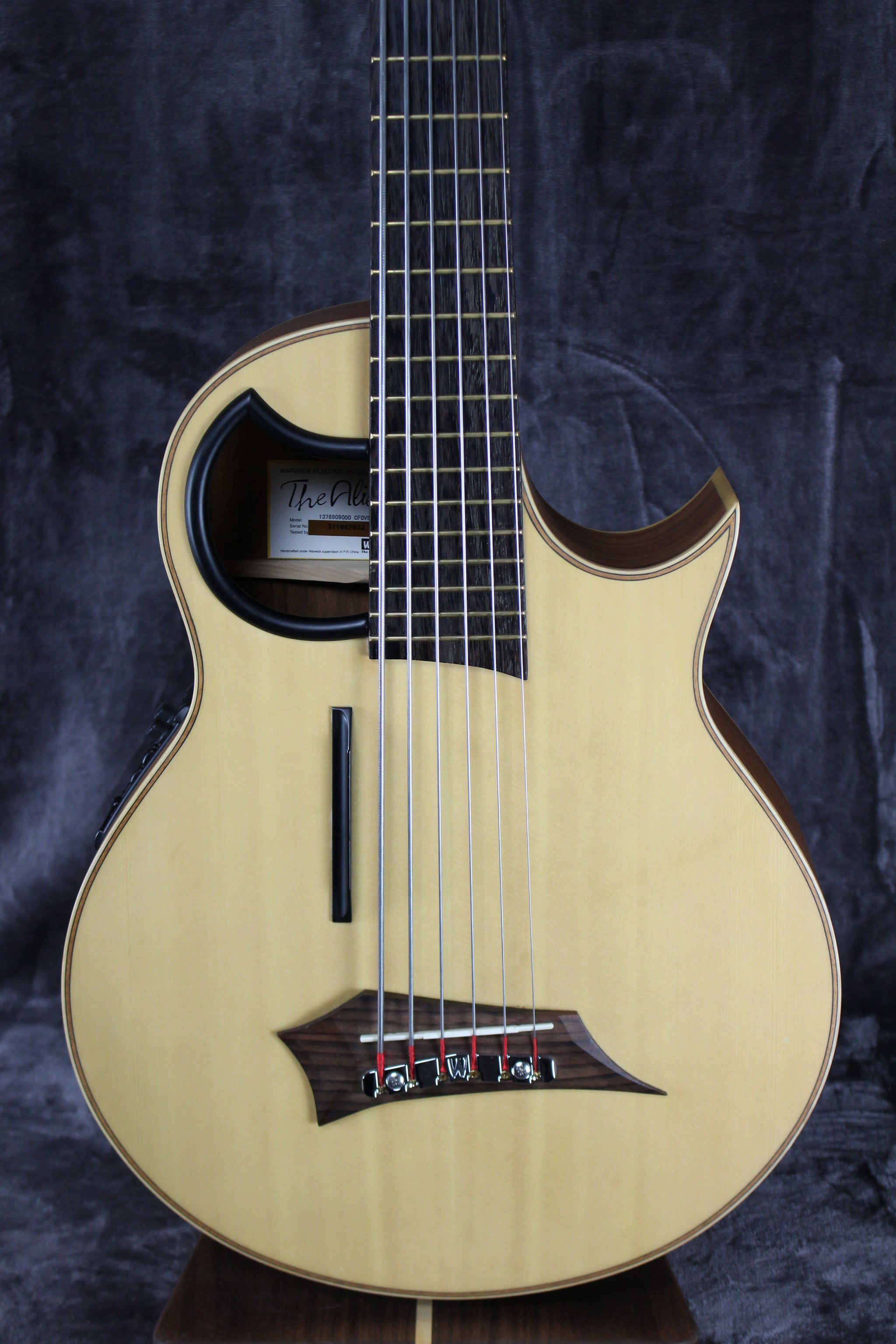 Warwick The Alien 6 String Acoustic Bass – Empire Guitars