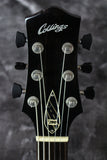 2008 Collings 290