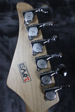 EART Stratocaster type guitar