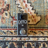 TC Electronic Ditto Used