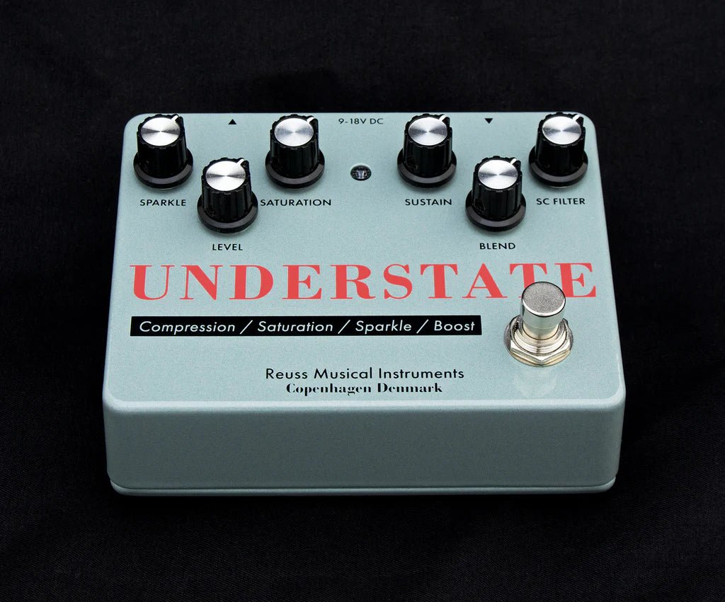 ギター Reuss Musical Instruments SA-01 ギター Reuss Musical