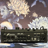 Fractal FM3 Amp Modeler