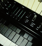 Vongon Replay Polyphonic Synthesizer with Multi-mode Arpeggiator in Black *Free Shipping in the USA*