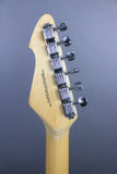 1980's Peavey T-30 Natural