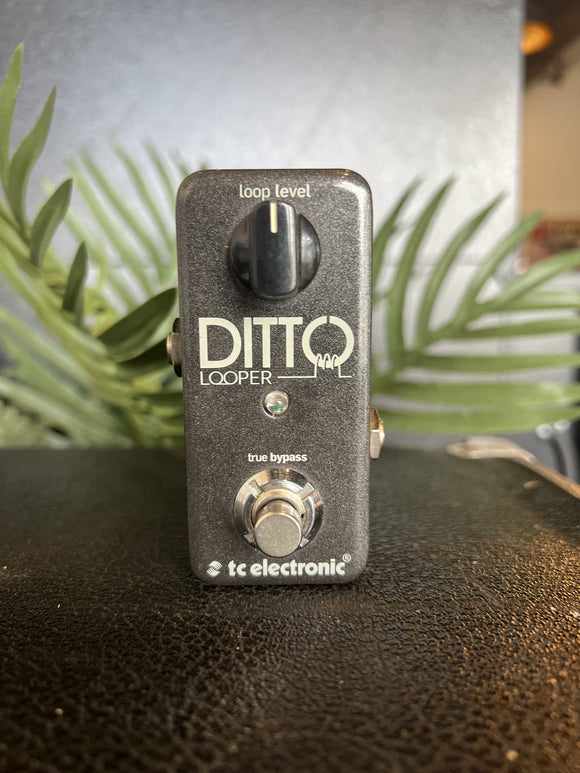 TC Electronic Ditto Looper Used