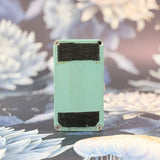 Animals Pedal Relaxing Walrus Delay Used