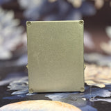 Norton Dual Channel Preamp Used