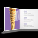 D'Addario XSABR1152 80/20 Bronze Custom Light Coated Acoustic Guitar Strings 11-52