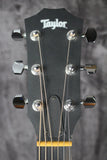 Taylor 110