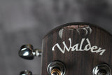 Walden Natura D552E 12-String