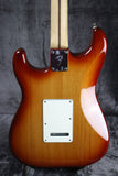 2021 Fender Player Plus Top Stratocaster