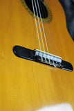 1969 Martin N-20 *Willie Nelson-Trigger*