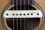 Seagull S6 Original w/LR Baggs M1
